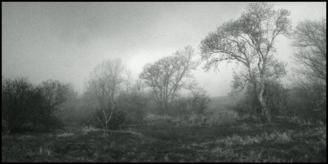 Au bord de la Loire, ou [(presque) au bord de la Loire]