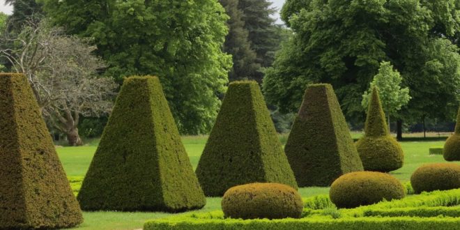 Comme un jardin à la française – Ou, la règle d’un jeu expliquée par deux jardiniers