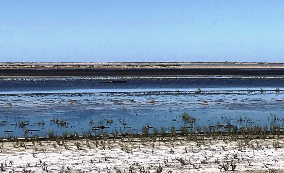 [Un livre] L’Espace et le Temps en Camargue – Bernard Picon - Zone Franche